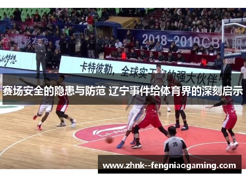 赛场安全的隐患与防范 辽宁事件给体育界的深刻启示