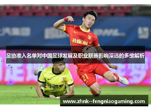 足协准入名单对中国足球发展及职业联赛影响深远的多维解析