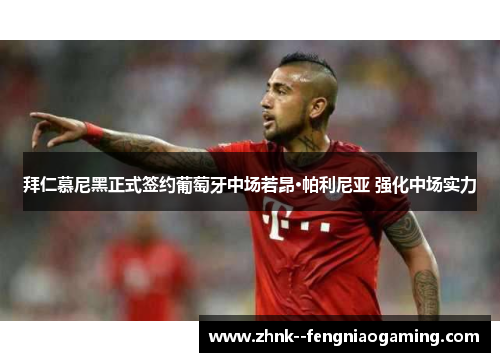 拜仁慕尼黑正式签约葡萄牙中场若昂·帕利尼亚 强化中场实力 拜仁慕尼黑正式签约葡萄牙中场若昂·帕利尼亚 强化中场实力