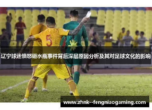 辽宁球迷愤怒砸水瓶事件背后深层原因分析及其对足球文化的影响